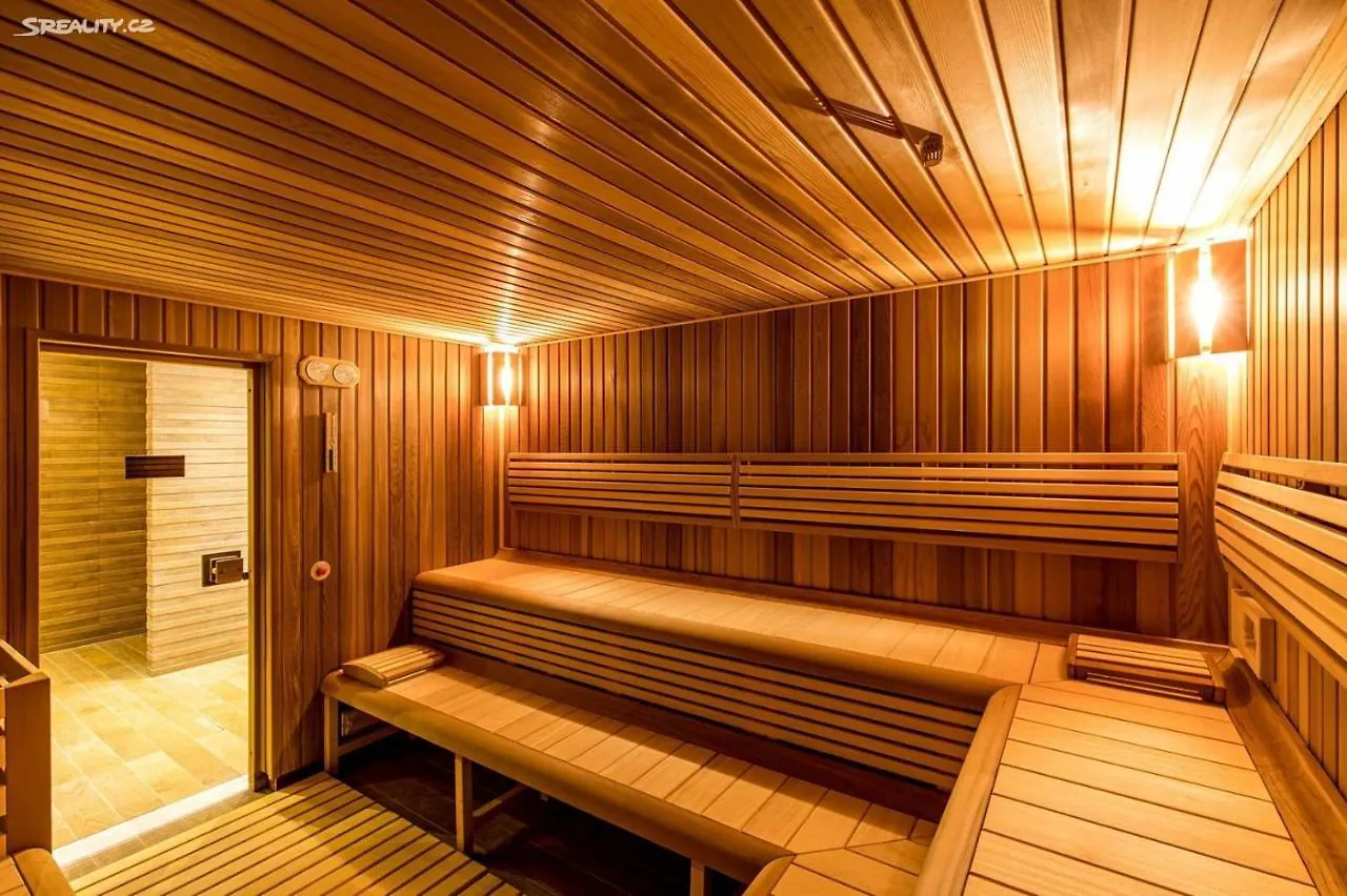 Spa Apartment Moser Karlovy Vary