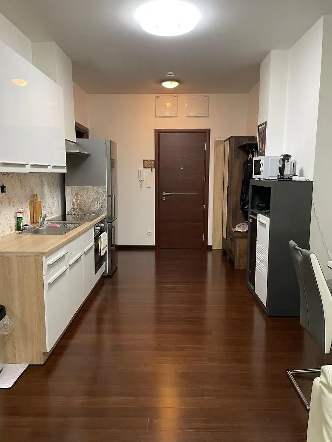 Spa Apartment Moser Karlovy Vary